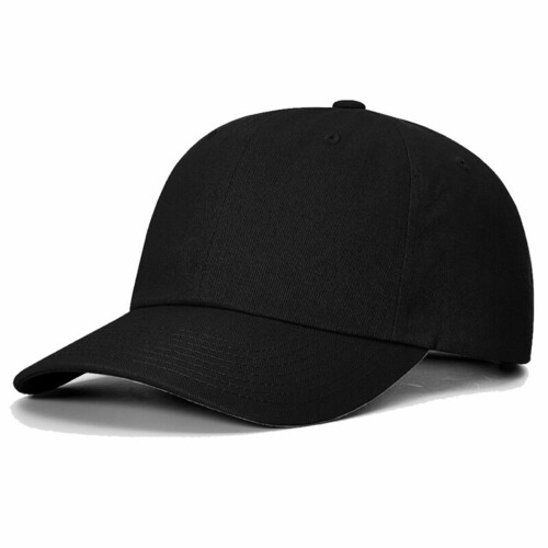 Sustainable Ashland Dad Hat Thumbnail