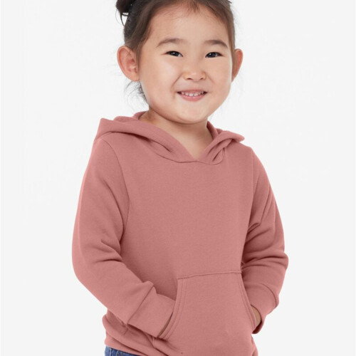 Toddler Sponge Fleece Pullover Hoodie Sweatshirt Thumbnail