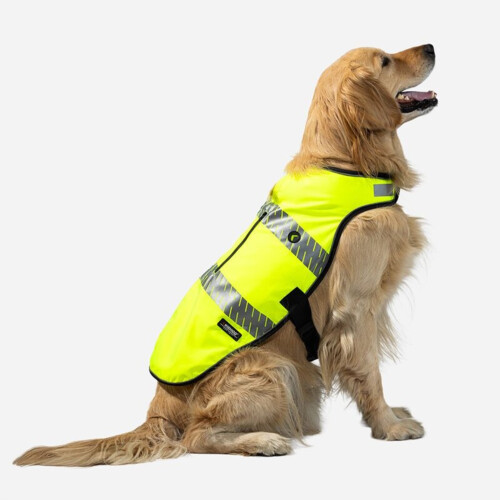 Hi-Vis All-in-One Dog Safety Vest Thumbnail