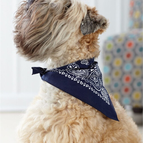 USA-Made Doggie Bandana Thumbnail